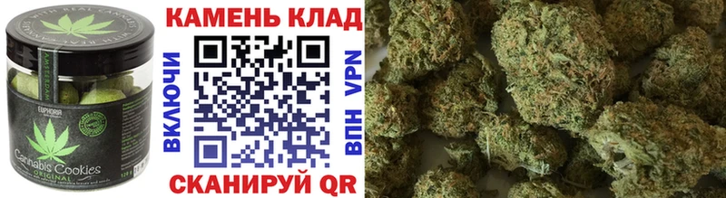 закладка  сайты даркнета наркотические препараты  Canna-Cookies конопля  Болотное 
