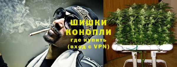 мдпв Саяногорск